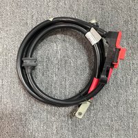 Câble de charge d'alternateur de voiture TDI 2.4L/2.8L/3.2L/2.7L/3.0L, faisceau de câblage 4F1971349A 4F1 971 349 A pour Audi A6/S6 2005-2011