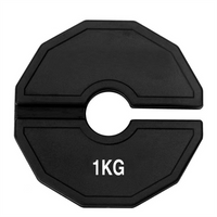 Gym Micro-Plates 0.25/0.5/1kg Dumbbell Fractional Weight Plate Rubber Fractional Weight Plates Add-on Change Weight Plate