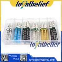 New Air Conditioning Throttle Valve Expansion Valve Throttling Expansion Valve Air Conditioner Expansion Valve Tools