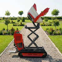 Discount Available Smooth Driving Adjustable Speed Mini Dumper Sobre Orugas Track Dumper Crawler Carriers Dumper Lift Dumper