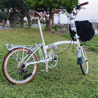 20 Inch 9 Speed Carston Folding Bike CRMO Tri Fold Frame Dual V-Brake Portable 53T CNC Crankset 20 Inch Wheel City Bicycle