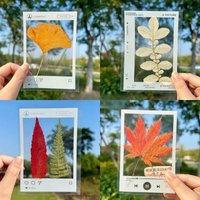 20/40pcs DIY Transparent Bookmark Pressed Flower Leaf Bookmarks Clear Frame Nature Book Accessories for Handmade Bookmark Gifts