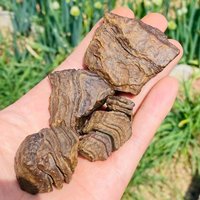 Natural Stone Gobi mudstone Raw Crystal Petrified Grounding Energy Healing Specimens Teaching Mineral Room Home Decoration