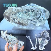 Transparent Dog Skull Teeth Anatomical Model Dental Animals Oral Jaw for Education Canine Dental Veterinary Decoration Demo