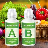 Hydroponic Vegetable Nutrient Solution Organic Plant Growth Food Soilless Cultivation Nutrient Solution for Greenhouse Vegetable