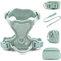 Morandi Green Personalized Dog Collar and Leash Set Anti-Lost Airtag Support Dog Harness Puppy Harness Set with Poop Walking Bag