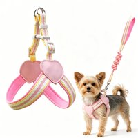 No Pull Y-shaped Dog Harness Leash Set for Small Dogs Chest Straps Anti-Twist Lightweight Harness Shiba Inu Corgi Pets Outdoor