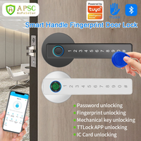 Système de serrure de porte intelligente avec empreinte digitale Tuya & TTLOCK APP, poignée de porte intelligente, serrure à code numérique, lecteur de carte RFID avec clé pour porte en bois