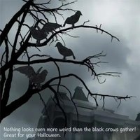 Halloween Black Crow Fakes Bird Toys Feather Animal Festival Decoration Props Party Supplies Garden Statues Sculptures