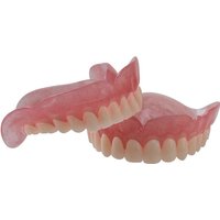 High-quality hot-selling medical dentals display model for education