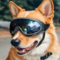 Dog Glasses Outdoor Pet Goggles for Large Dogs Windproof Outdoor Riding Dog Goggles UV Protection Dog Accessories Dog Collar