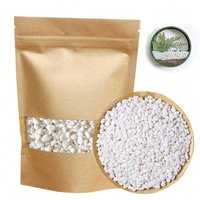 Mini White Rocks Stone Decorative Pebbles Vase Fillers Succulents Cactus Bonsai DIY Plant Rock Garden Outdoor Indoor Gravel for