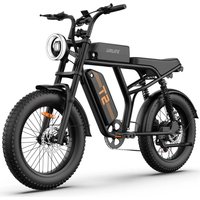AliExpress adult E-bike URLIFE T2 250W 48V 15.6Ah battery Electric Bike,20-inch All-terrain fat tire E-Mountain bike