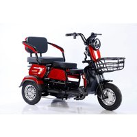 AliExpress ZUIMI 3 Wheel Electric Bike 600W 48V Electric Tricycles for Adults Suitable for Agricultural Use and Daily Transportation