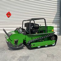 Customized All-Terrain Robot Lawn Mower 800mm-1000mm Remote Control Diesel Engine Flail Mower for Agriculture CE EPA Certified