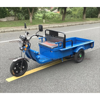 electric tricycle househod small new pulling goods orchard stall special flat truck heavy freight battery car