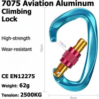 Outdoor Professional Rock Climbing accessories aluminum Carabiner 25kN Lock D-shape Safety Buckle For Keys Tools Equipment