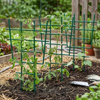 5Pcs Plant Support Pile Climbing Vine Stake Bonsai Fixing Rod Garden Plants Stake Holder Flower Support Rack For Potted Plant