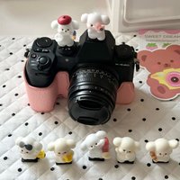 DIY Cute dog Universal Hot Shoe Cover for Leica Q2 Q3 Fuji X100V X-T5 Sony ZV-1 ZV-E10 Canon EOS R5 Nikon Z5 Camera Accessories