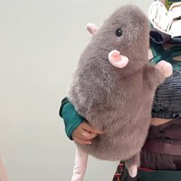 35/40/50cm Fancy Rat Simulated Plush Toy Soft Fluffy Stuffed Animal Plush Pillow Cute Funny Home Decor Birthday Gift For Women