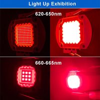 Red Light LED 620-625nm,660-665nm High Power 10W 20W 30W 50W 100W Integrated Lighting Source Emitting Diode Chip For Plant