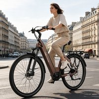 TTGO C7SE Elektrofahrrad mit Bafang 250W Mittelmotor, 36V18AH Akku, Hydraulischen Bremsen, Drehmomentsensor, 28 Zoll Reifen, Federgabel, E-Bike für Erwachsene