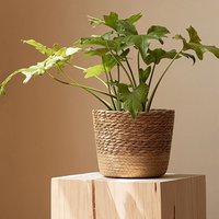 Natural Seagrass Woven Flower Pots Home Desktop Decorative Prop for Home Garden Flower Pot Plant Organizer Garden Gadgets Holder