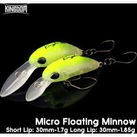 Kingdom Mini Minnow Fishing Lure 1.7g 1.85g Unique Lip Design Single Hooks Floating Artificial Wobblers For Trout Pike Fishing