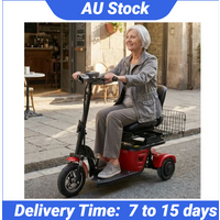 500W Small Electric Tricycle Foldable Adults With Basket Dual Motor 3 Wheels Electric Scooter For Seniors With Removable Battery