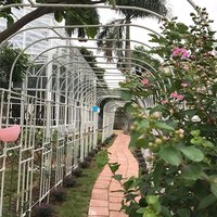 Garden Arch Trellis for Climbing Roses and Vines Half Arch Support Frame for Outdoor Plants Durable Metal Garden Plant Shelves