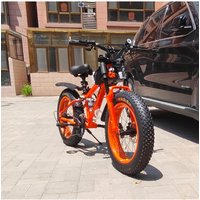 AliExpress NONE 26/24/20 inch large tires 4.0 ultra wide beach snow mountain bike off-road variable speed dual shoulder shock absorber bicycle