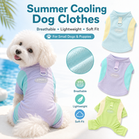Cute Mesh Vest Pet Clothes 2026 New Ice Silk Cooling Puppy Vest Quick Drying Summer Pet Costume Small Size Splicing Clothes