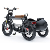 COSWHEEL CT20S/CT20 1000W Fat Tire Electric Tricycle Sidecar E-bike Carry Pets Three Wheel Pedal Assist 1500W Road Ebike Sidecar