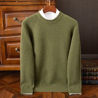 100% laine mérinos épaississement pull hommes col rond manches Raglan pull automne hiver intelligent pull décontracté cachemire à manches longues haut