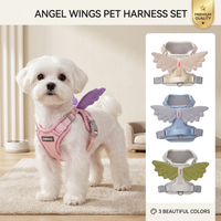 Angel Wings Pet Harness & Leash Set - Cute Adjustable Cat Dog Puppy Vest with Soft Breathable Mesh, Anti-Break Escape, Charming