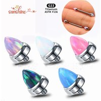 2PCS G23 Titanium Lip Studs Opal Pointed Cone 14g 16g Internal Threaded Flat Bottom Bar Punk Style Earrings Piercing Accessory