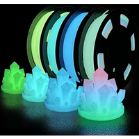 1.75mm Pla 3D Printer Filament Glow In The Dark 1KG 200g Rainbow Filament PLA Blue Green Material Luminous Clear Tpu Flexible