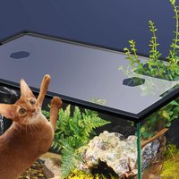 Acrylic Fish Tank Lid Guard Clear Aquarium Cover with Feeding Holes Rimless Top for Freshwater Aquarium Use