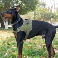 Dog Leash Vest Type Golden Retriever Labrador Chest Strap Small Medium Large Dog Walking Leash Dog Chain