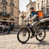 NEUES DUOTTS C29 PRO Elektrofahrrad für Erwachsene, 250W Motor, 48V 15AH Akku, 3 * 7-Gang-Schaltung, Geschwindigkeitssensor, Ölbremse, 29" Reifen Mountainbike E-Bike, APP-Steuerung,