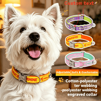 1pc Personalized Pet Collar Engraving — Soft Comfy Adjustable Custom Name ID Tag for Small Medium La Basic Dog Collar