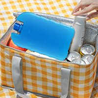 Anti-Leak Cooler Ice Pack Air Conditioning Freezer Bag Food Refrigeration Preservation Ice Bag for Camping Picnic