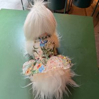 Summer New Puppy Dog Cats Clothing Luxury Handmade Embroidery Sequin Flower Princess Dress for Small Medium Dog Pet Clothes Coat