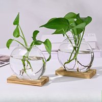 Creative Wooden Base Glass Vase, Green Ivy Plant Transparent Flowerpot, Home Decoration, Office Desktop Display Item