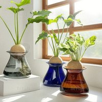 Nordic Style Glass Vase Home Decoration Vase Transparent Hydroponic Plant Flower Arrangement Small Vase Tabletop Decor Ornaments