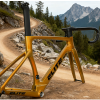 47/49/52/54/56/58CM Fully Hidden Full Carbon Disc Brake R58 Road Bike Frameset Lightweight Thru Axle BBT47 700*32C Bicycle Frame