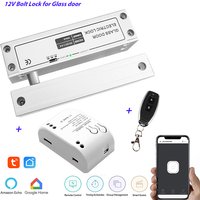 Tuya Smart Life Wifi Lock For Frameless Glass Door Swing Glass Door Bolt Lock 12V with Signal feedback Fail Safe NC