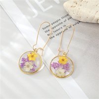 Drip Dried Flower Earrings Women Dried Flower Decoration Round Boho Chic For Party Fashion Statement Wedding