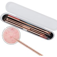 4pcs Facial Pore Cleaner Extractor Face Skin Care Tools Blackhead Comedone Pimple Belmish Acne Remover Needles