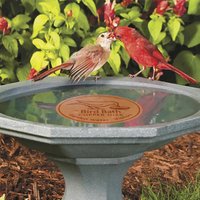 Bird Bath Copper Disk Bath Disk Ornaments Feeder plate Triple-Point Support Purifier Plate for Outdoor Patio Lawn Fountain